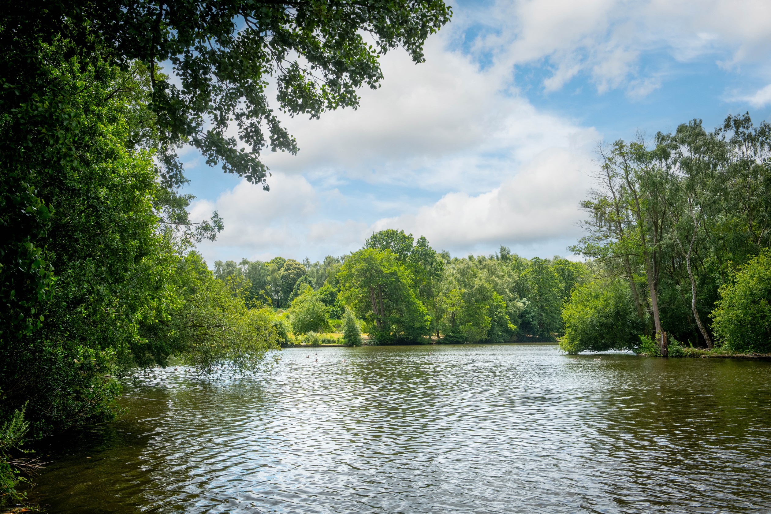 Elm Tree Park: New homes in Mansfield, Nottinghamshire | David Wilson Homes