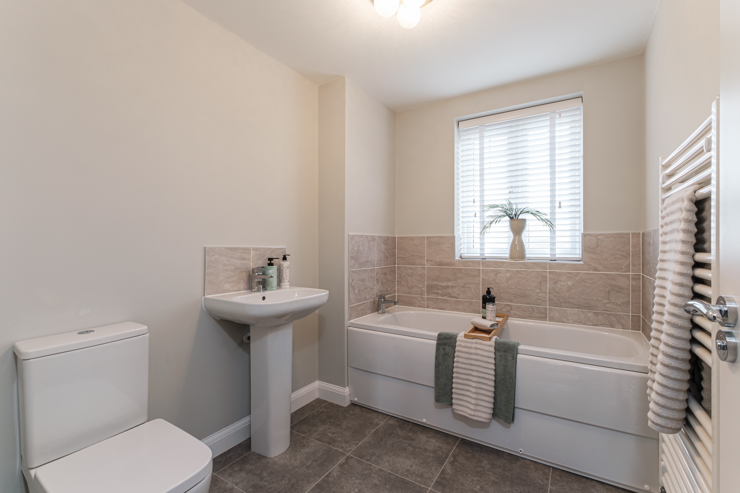 Henley Gate, Kennett, Plot 16 | David Wilson Homes