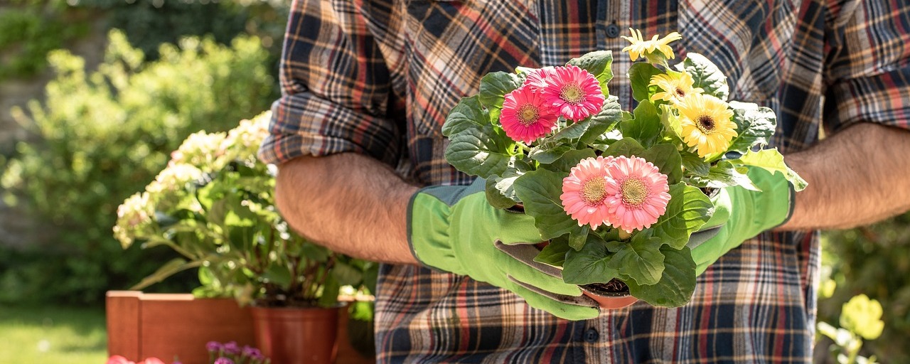 Planting in Pots